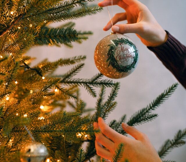 <2021年12月号>レポート「米国における現地情報」(12月15日現在)